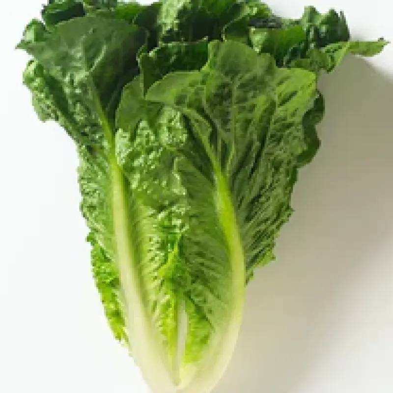 Ooty Fresh English, Chinese, Exotic Vegetables from Ooty to Your Table - Farm-Fresh Delights